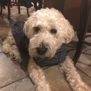 Meet your Posher, Philis